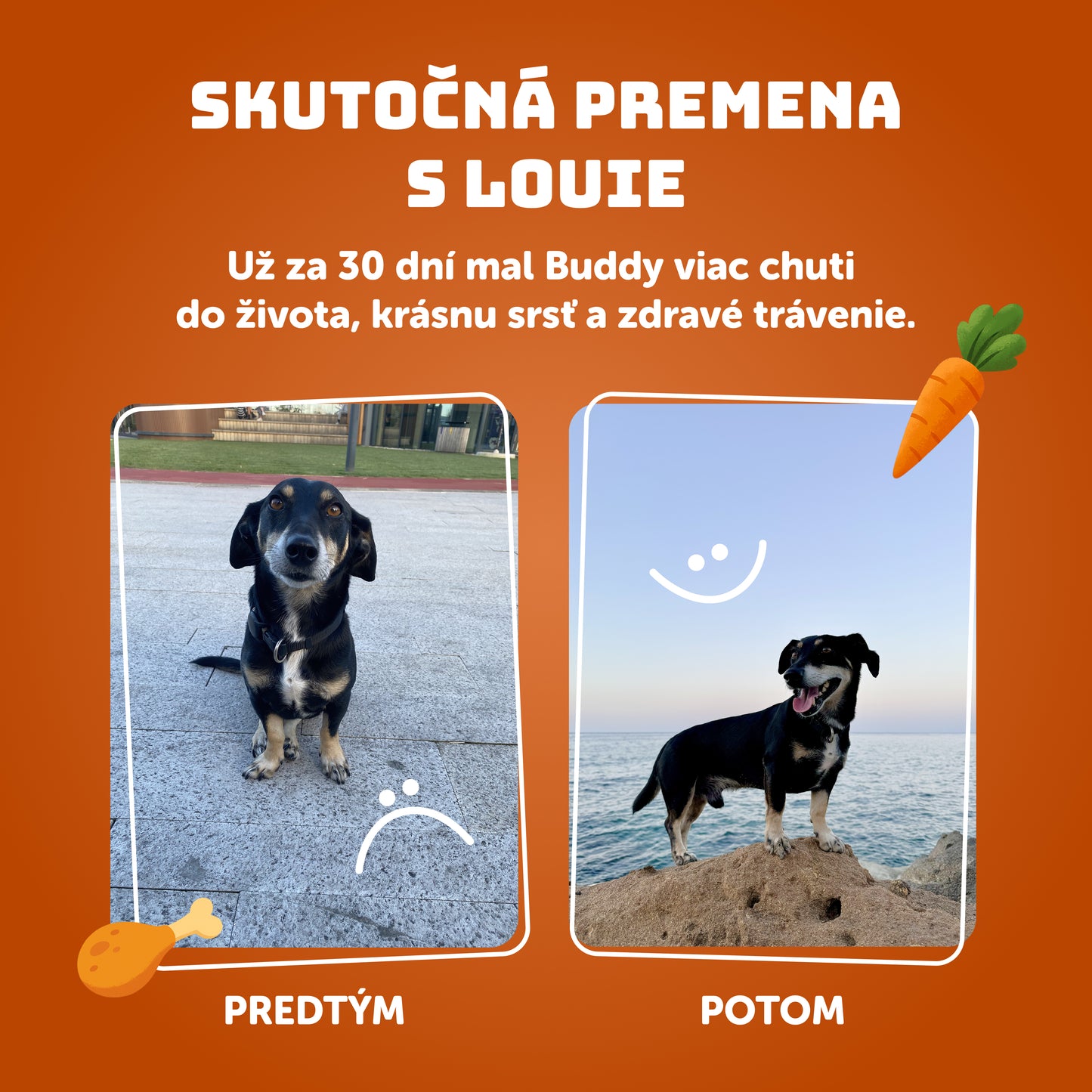 Kuracie s mrkvou a prebiotikami 400g
