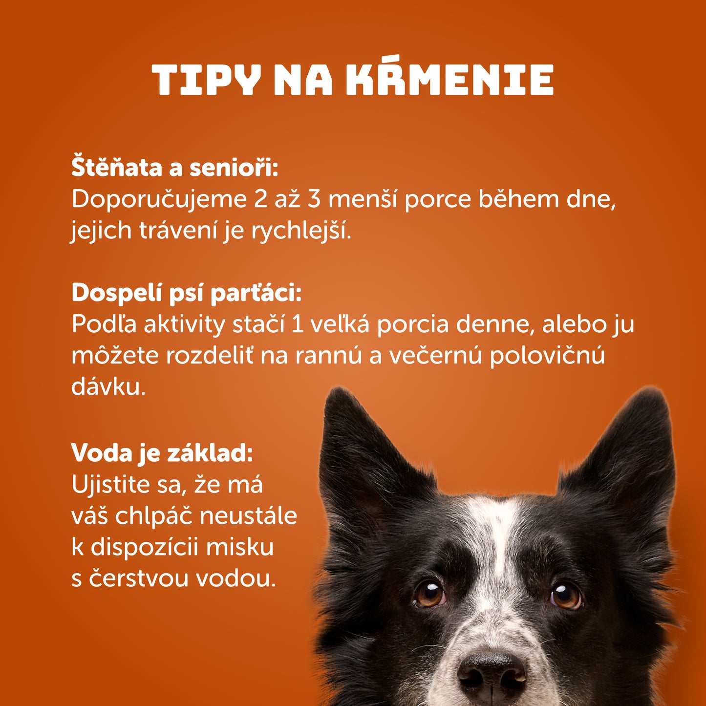 Kuracie s mrkvou a prebiotikami 400g