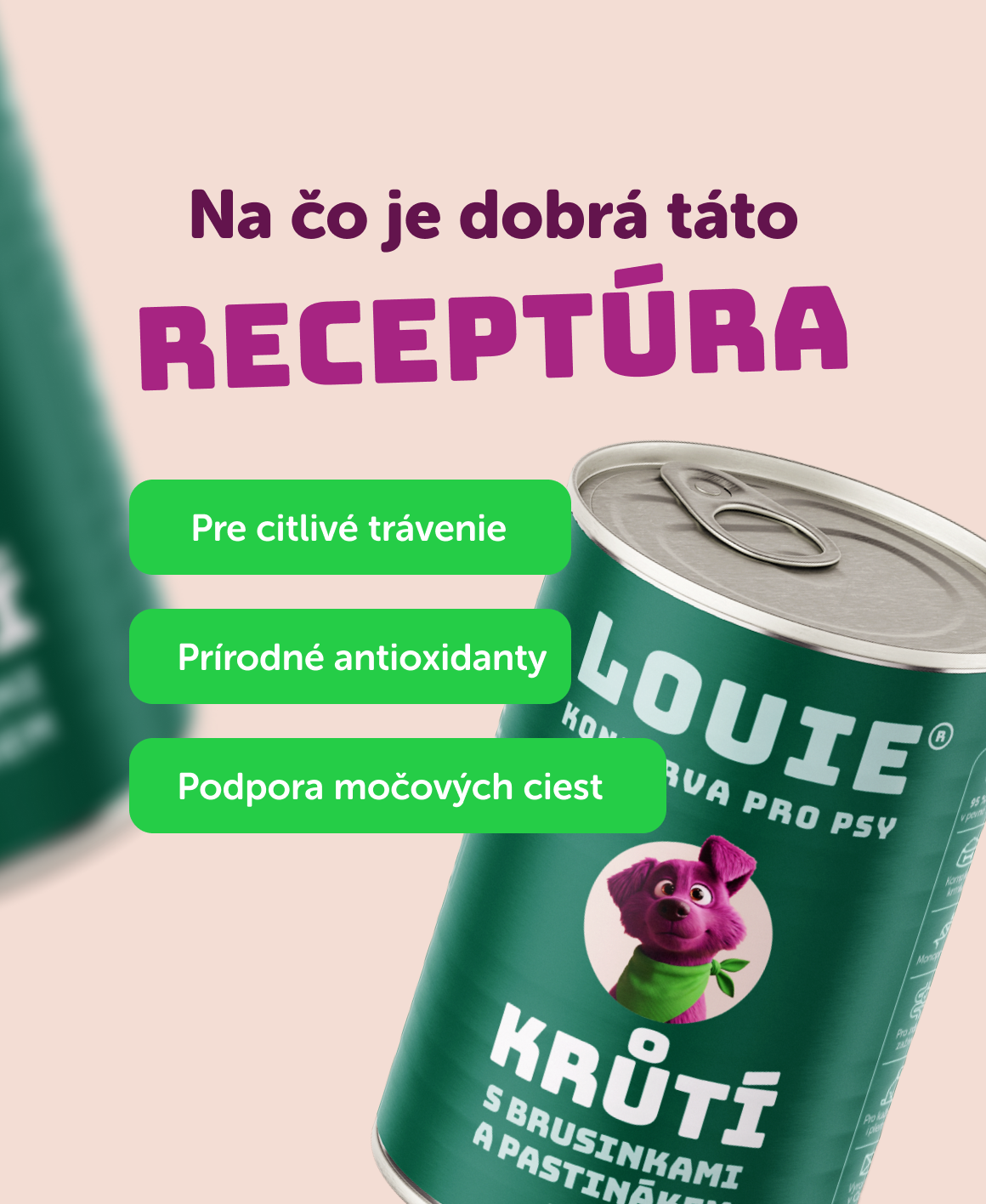Morčacie s brusnicami a paštrnákom 400g