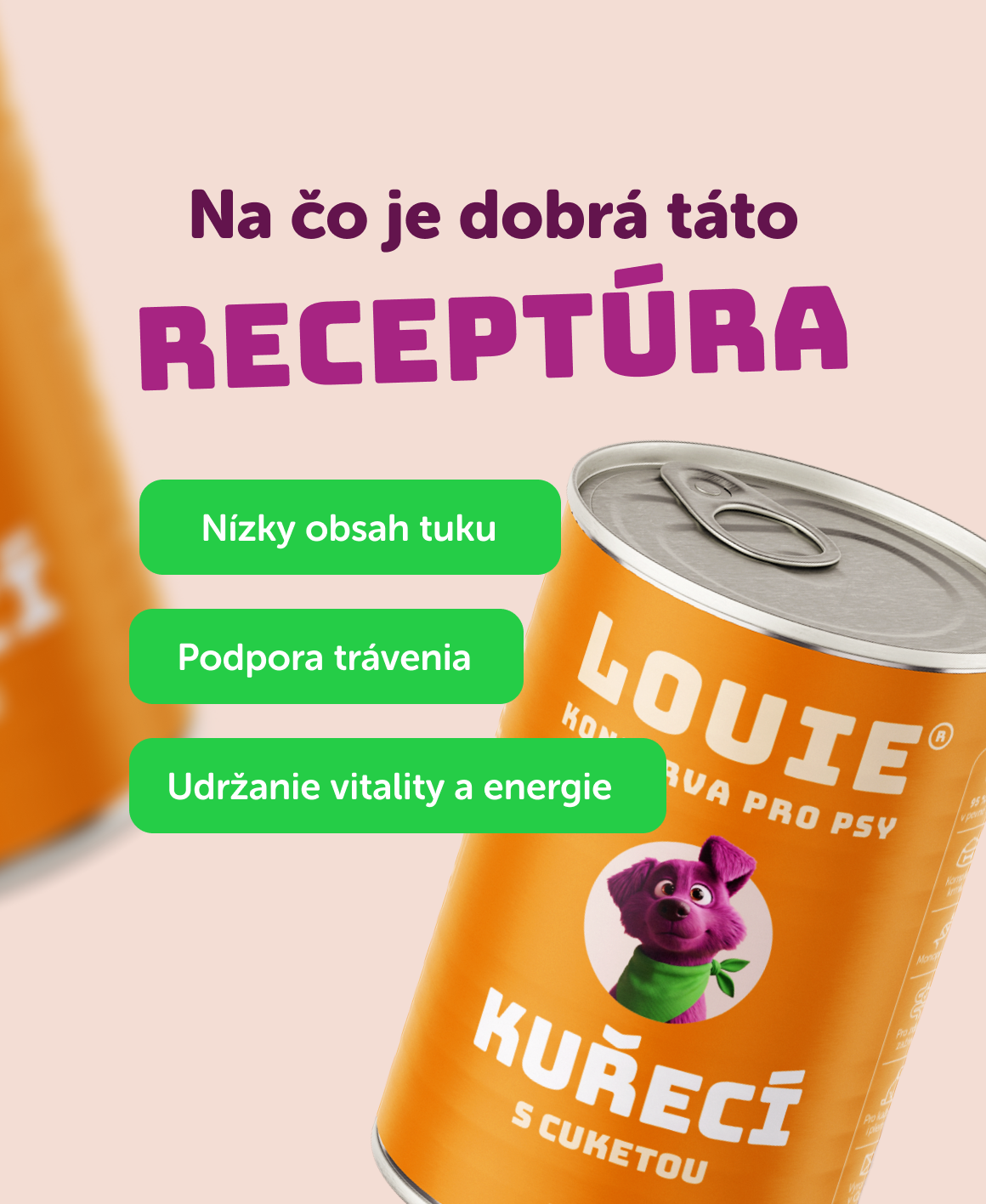 Kuracie s cuketou 400g