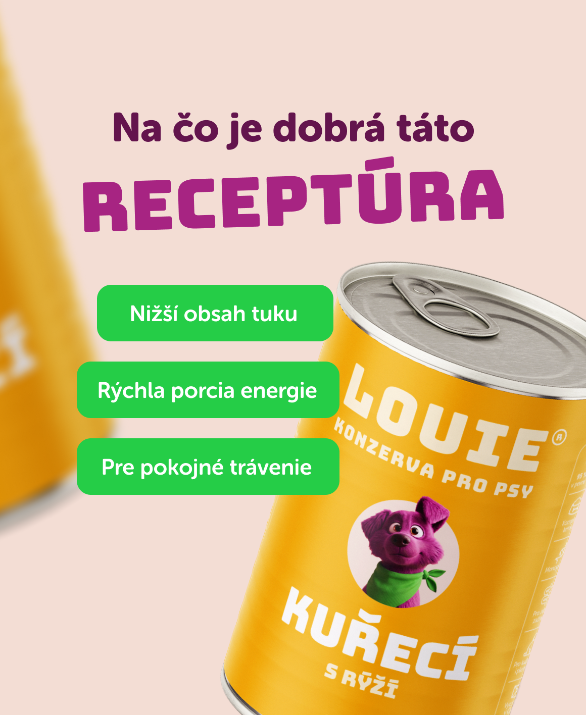 Kuracie s ryžou 400g