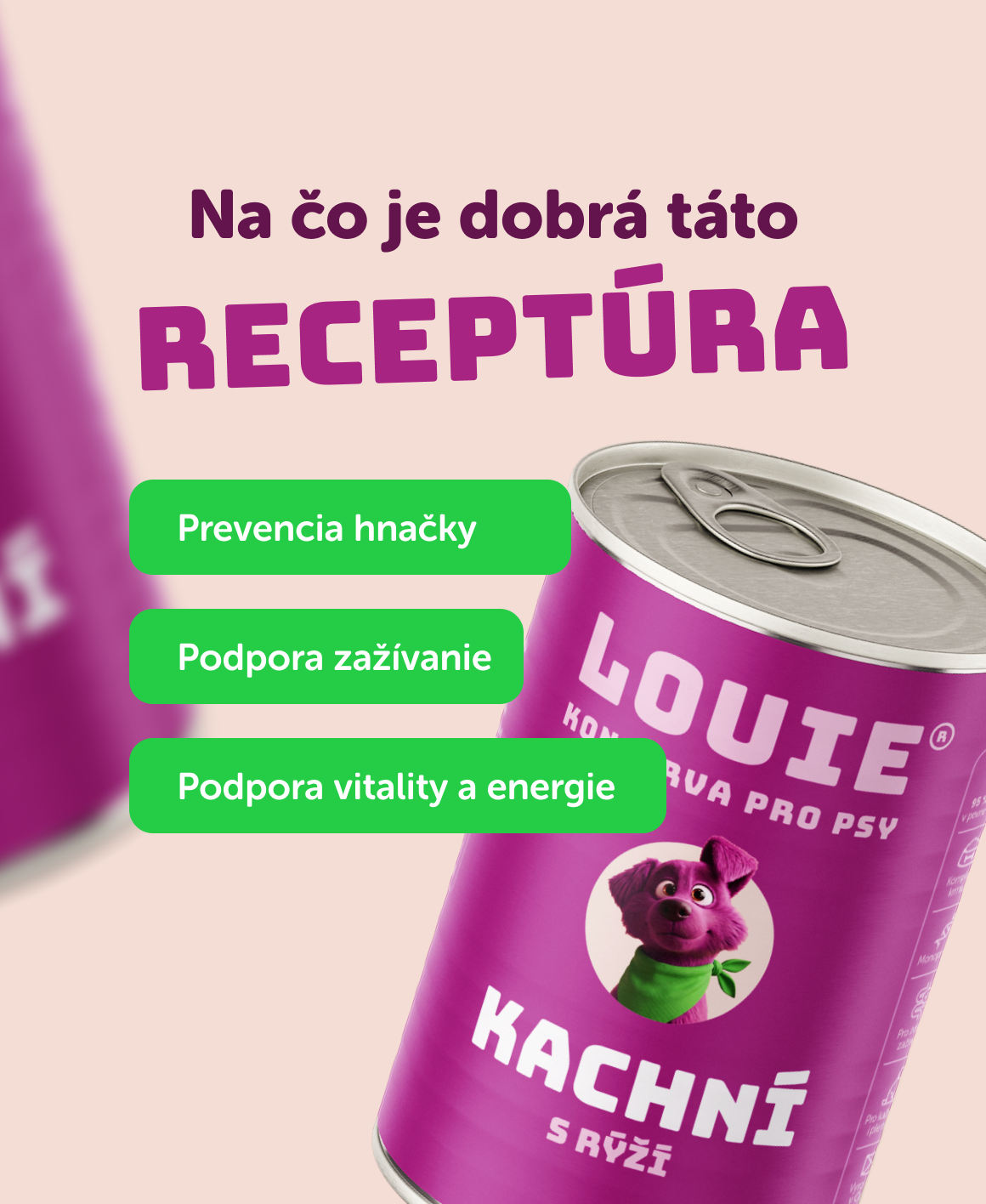 Kačacie s ryžou | 16ks | 400g