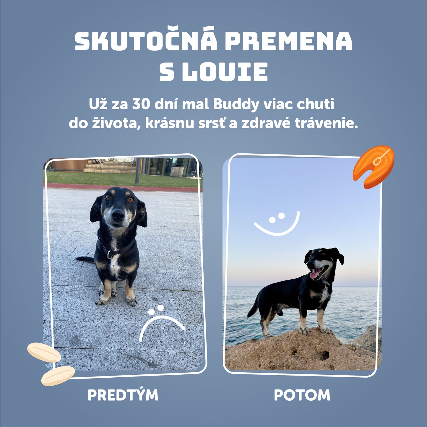 Ryba s ryžou 800g