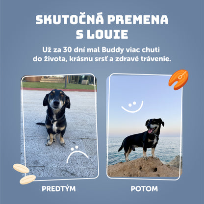 Ryba s ryžou 800g