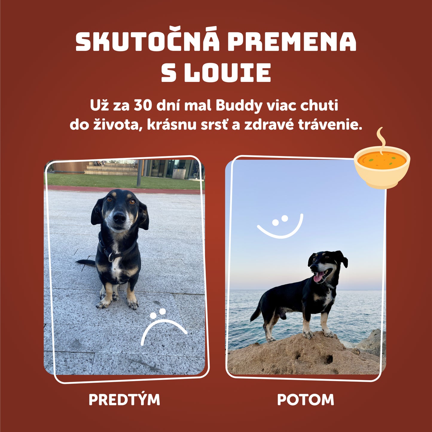 Výhodné balenie 8ks - Hovädzí vývar 400g