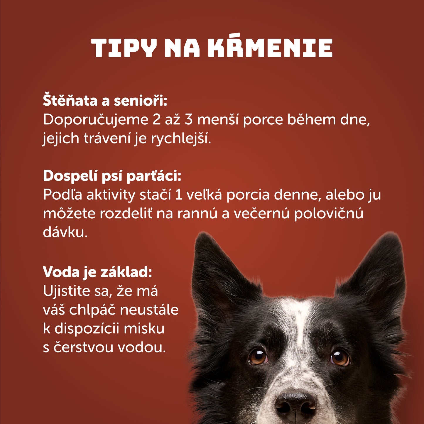 Výhodné balenie 8ks - Hovädzí vývar 400g