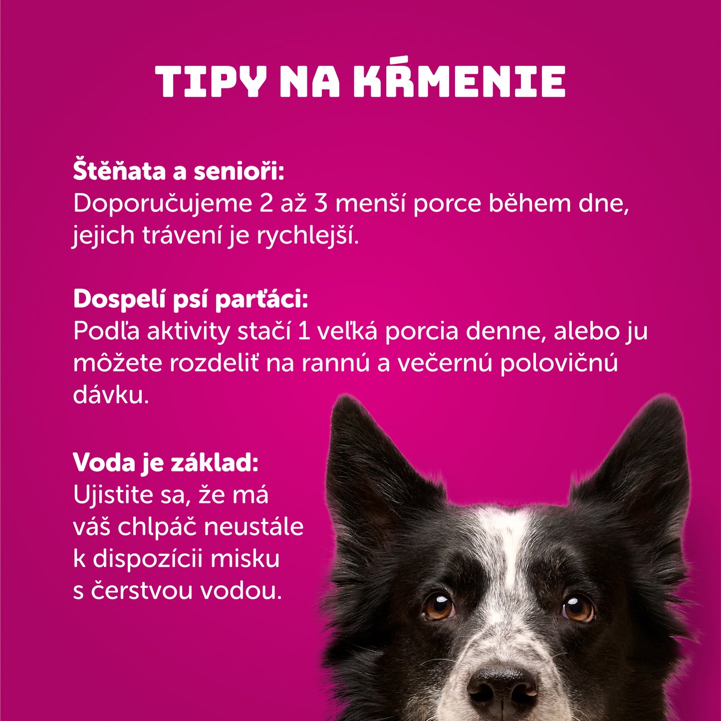 Baránok s plnkou 400g