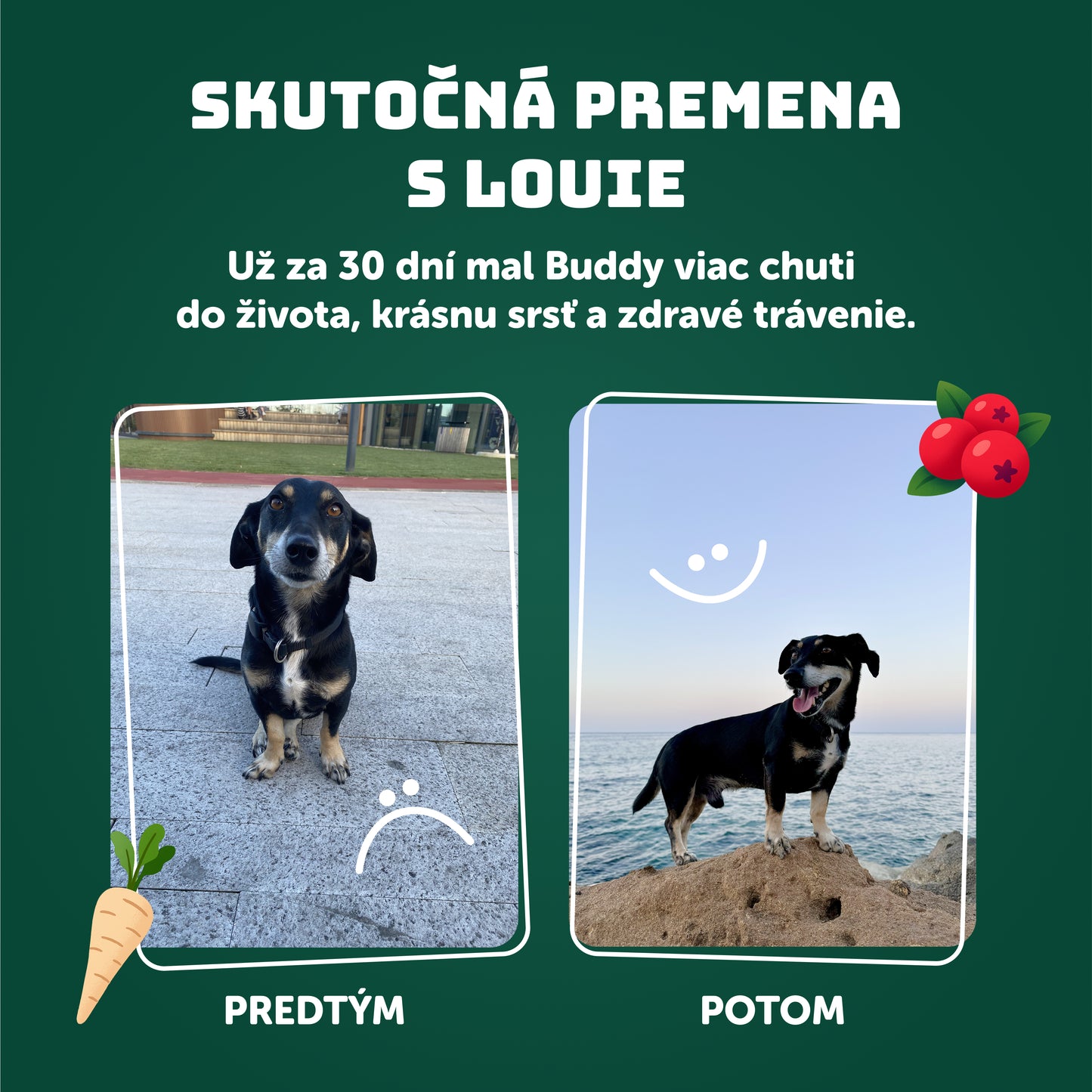 Morčacie s brusnicami, paštrnákom + prebiotikami 400 g