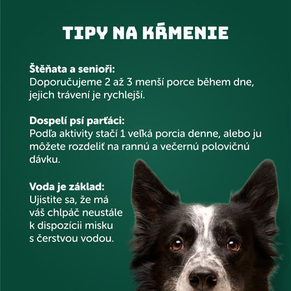 Morčacie s brusnicami, paštrnákom + prebiotikami 400 g