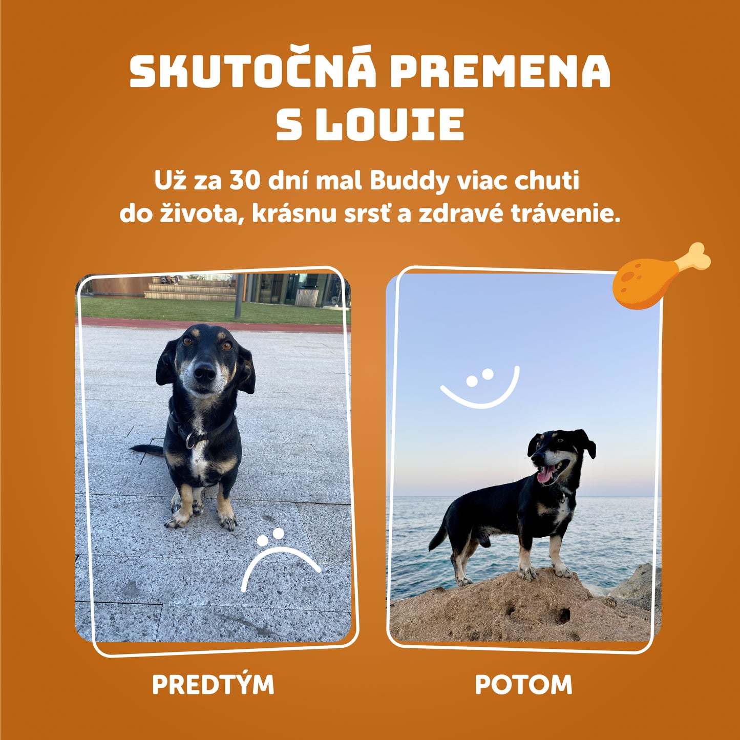 Výhodné balenie 8 ks - Kuracie s cuketou 200g