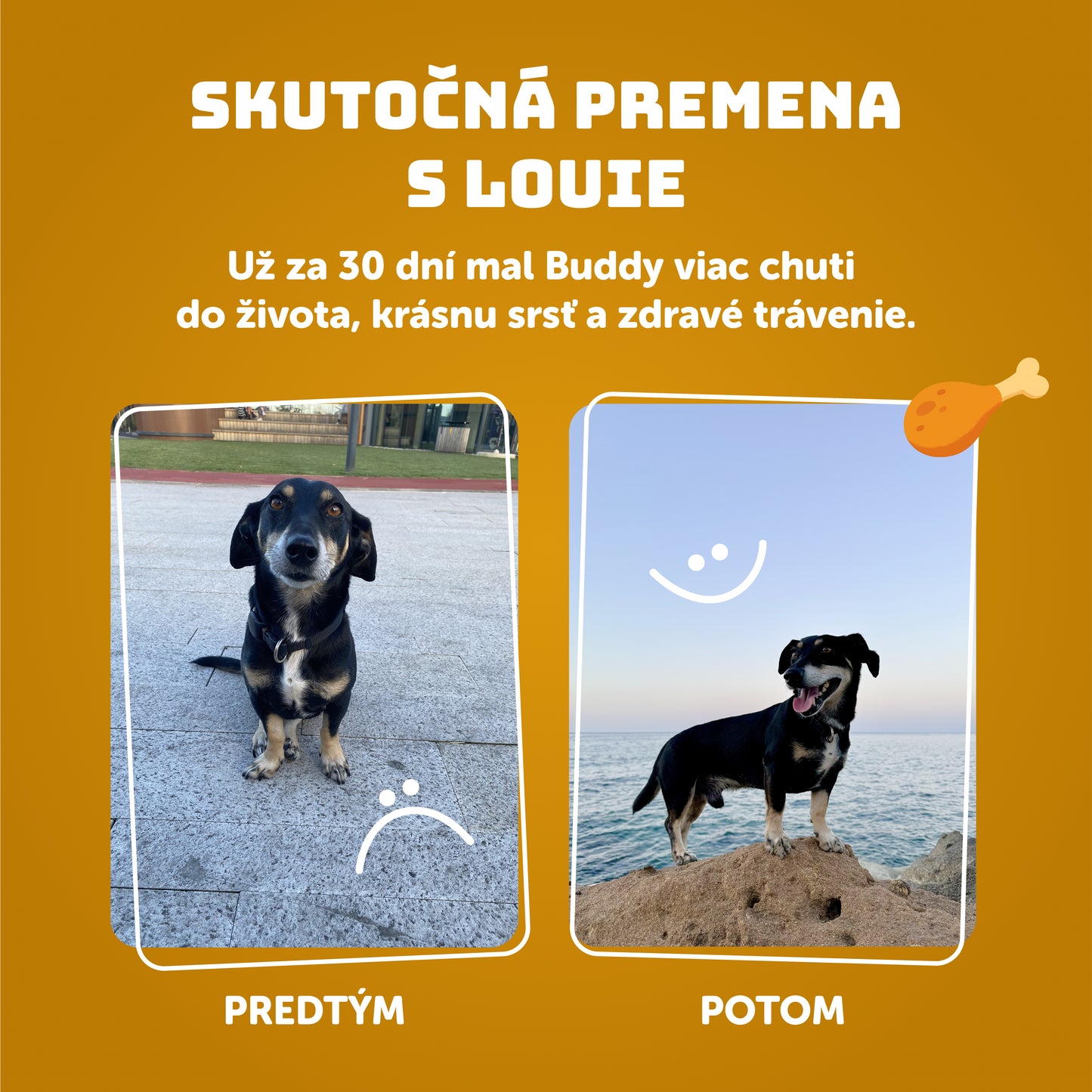 Kuracie s ryžou 400g
