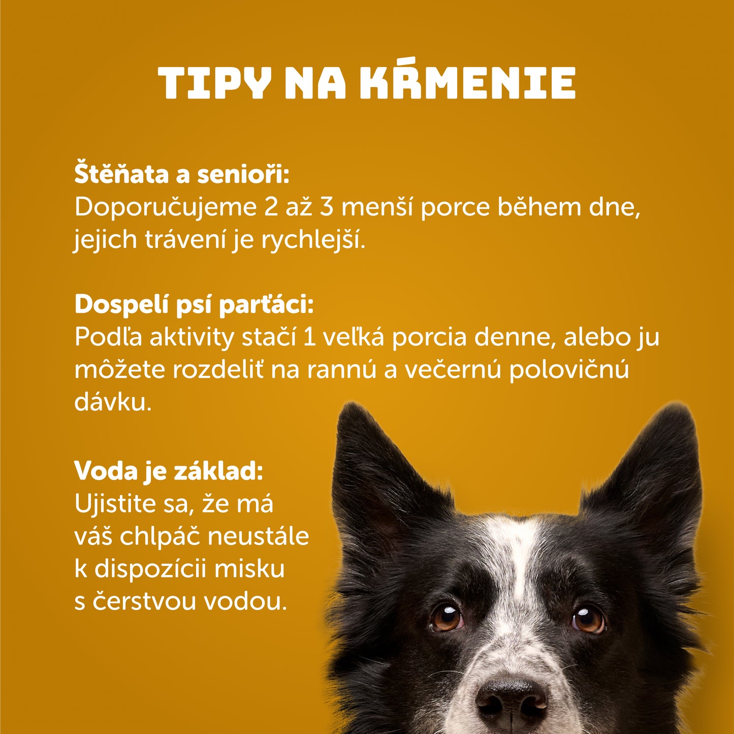 Kuracie s ryžou 400g