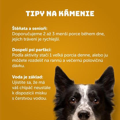Kuracie s ryžou 400g