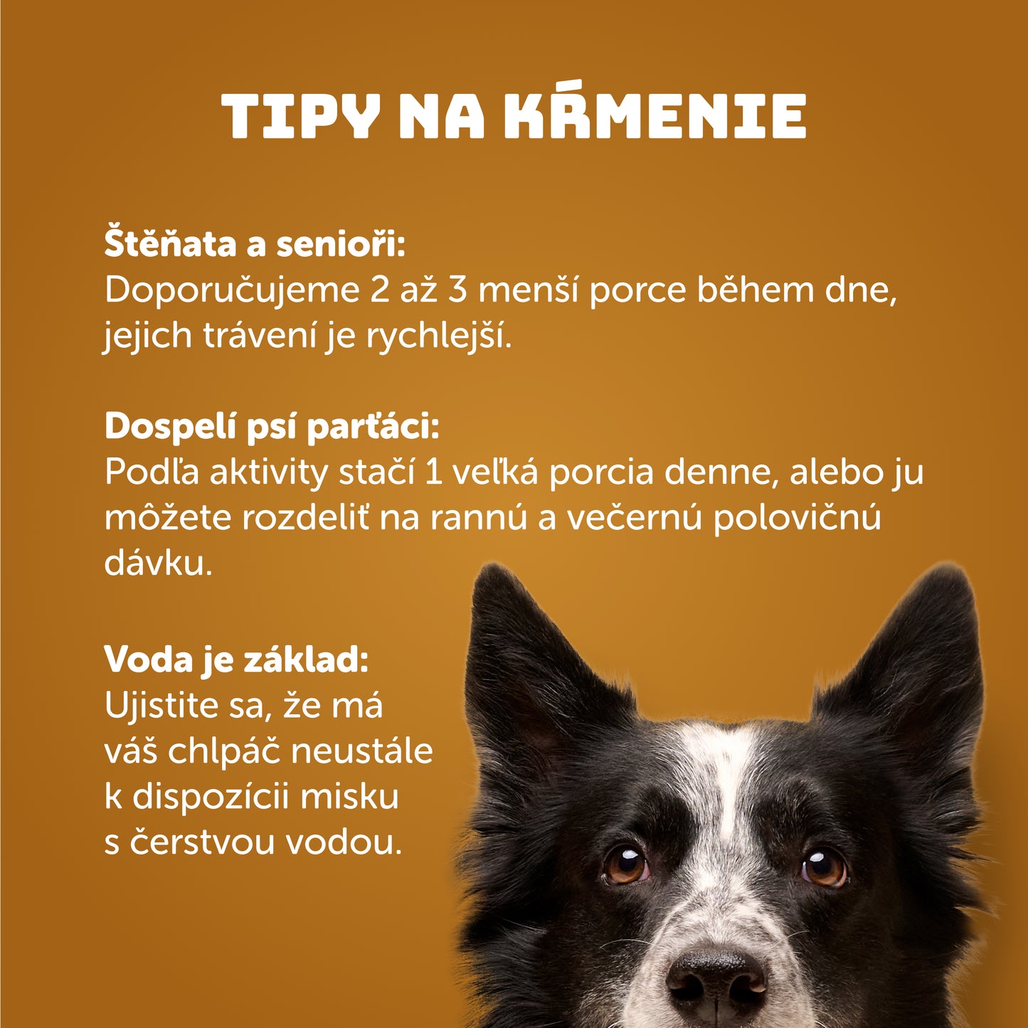 Kurací vývar 400 g