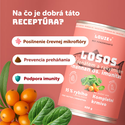 Losos s rakytníkom, špenátom a prebiotikami 400g - 8 ks