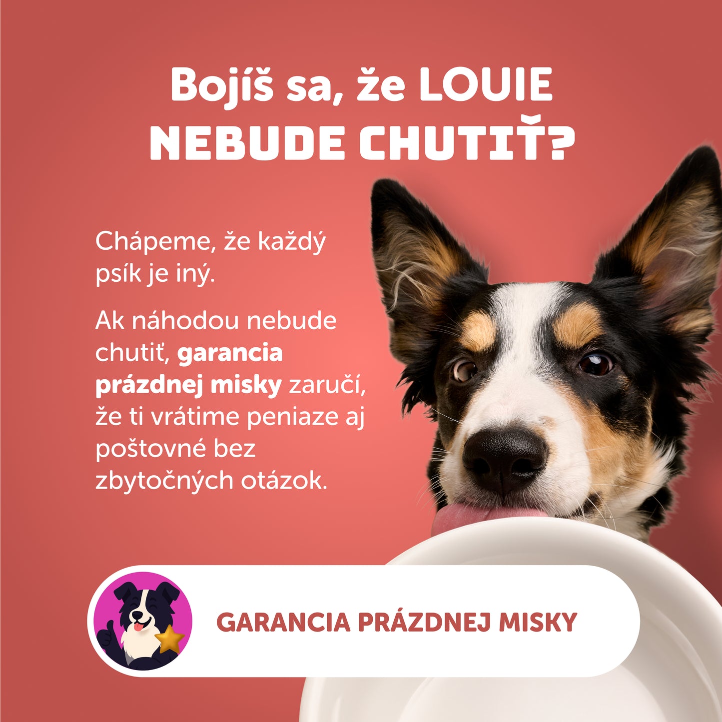 Losos s rakytníkom, špenátom a prebiotikami 400g - 8 ks