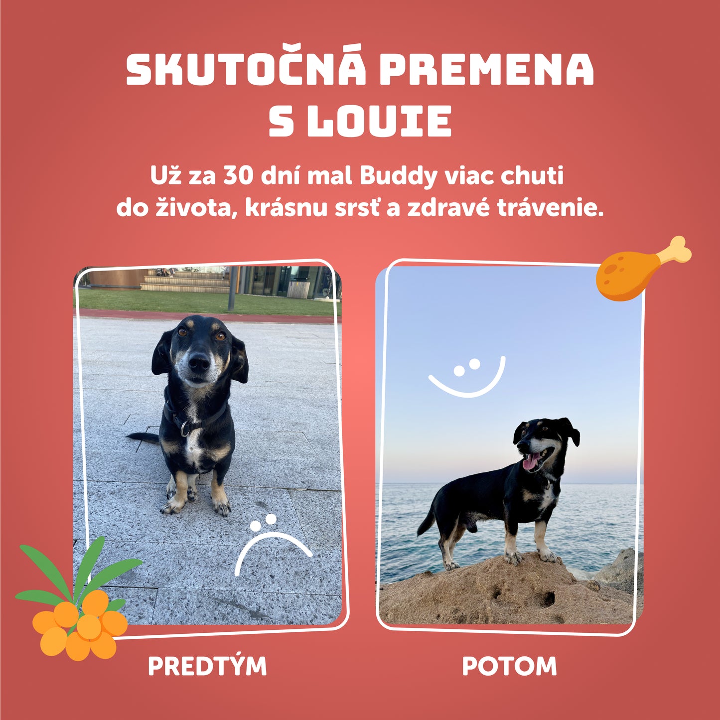 Losos s rakytníkom, špenátom a prebiotikami 400g - 8 ks