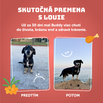 Losos s rakytníkom, špenátom a prebiotikami 400g - 8 ks