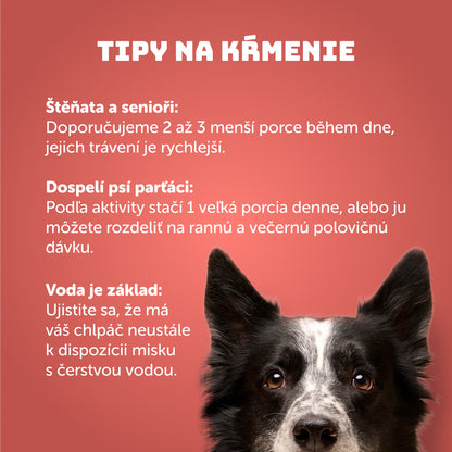 Losos s rakytníkom, špenátom a prebiotikami 400g - 8 ks