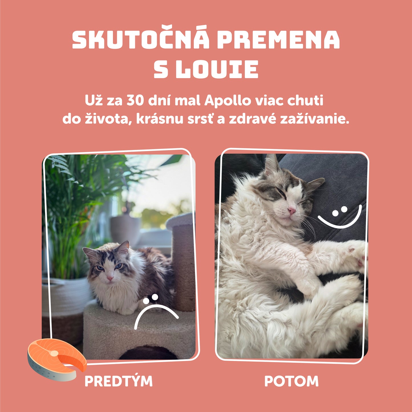 Losos s prebiotikami 200 g