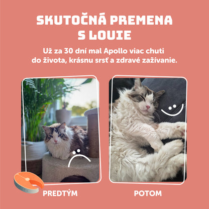 Losos s prebiotikami 200 g