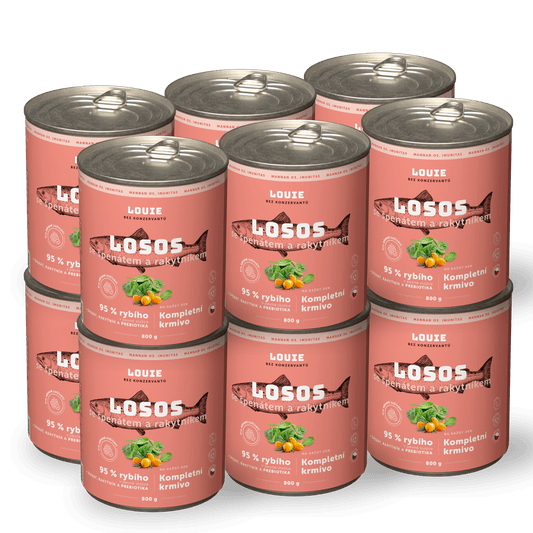 Losos s rakytníkom a prebiotikami | 12ks | 800g
