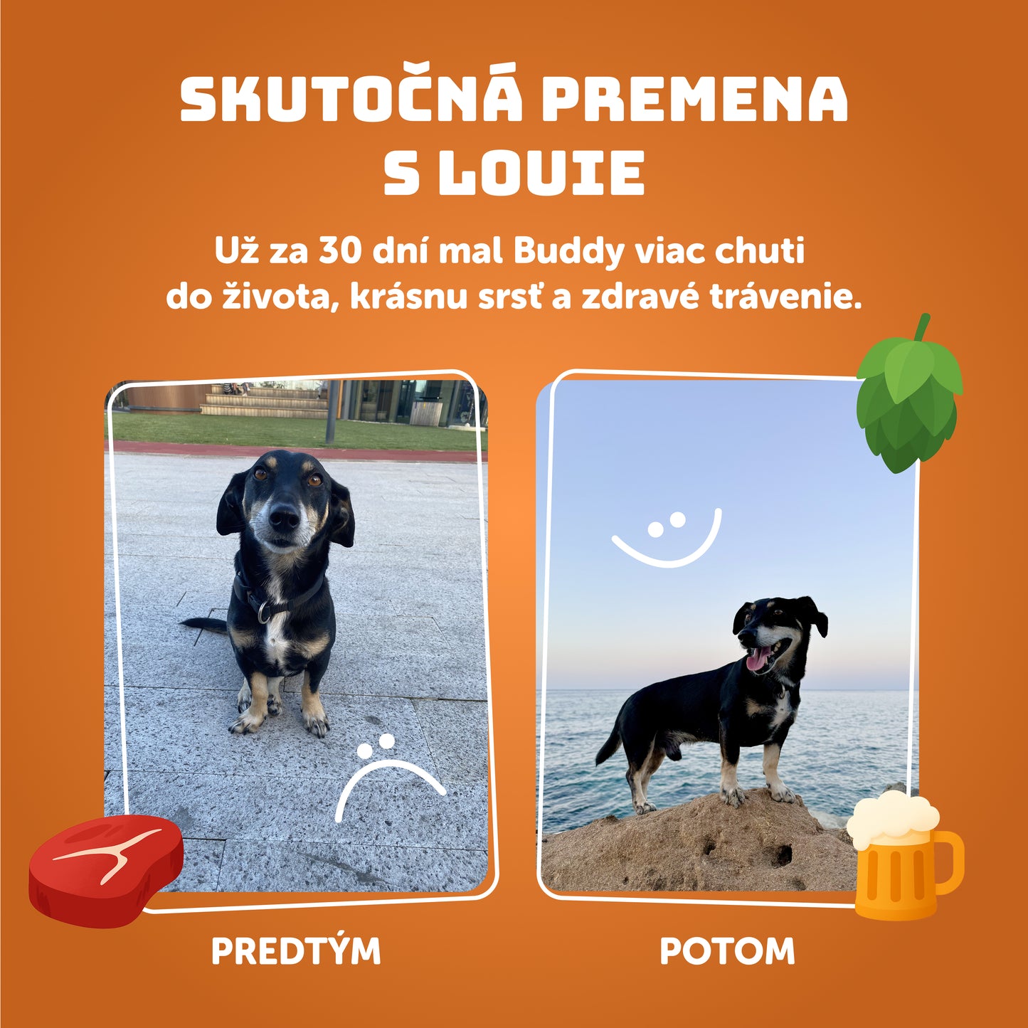 Pivné hovädzie s mrkvou a kvasnicami 400g